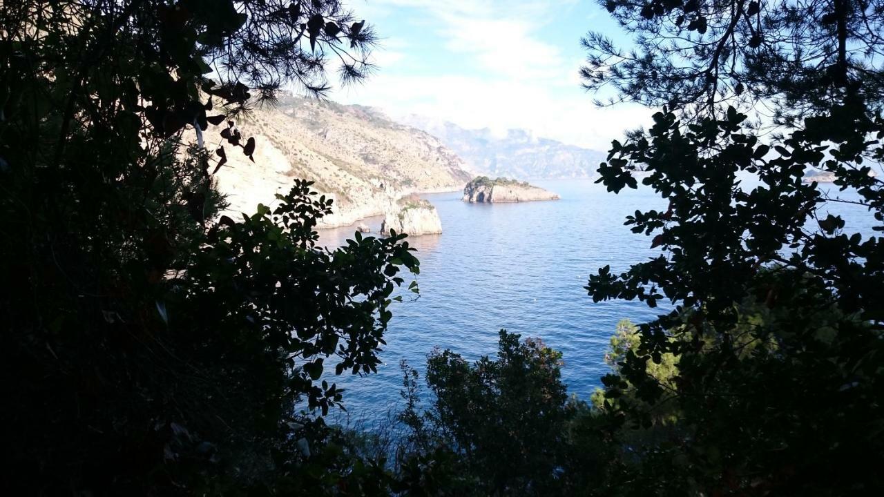L'ulivina Villa Sorrent