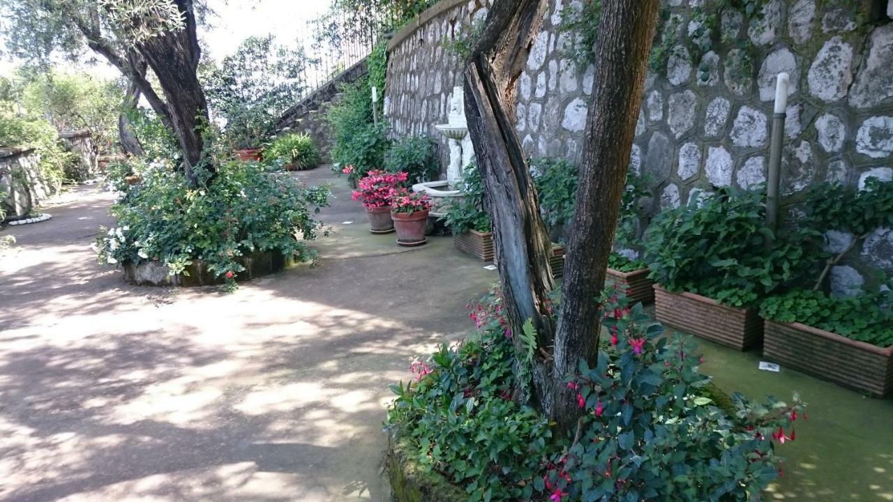 L'ulivina Villa Sorrent